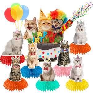 Cat Birthday Toy Bundle