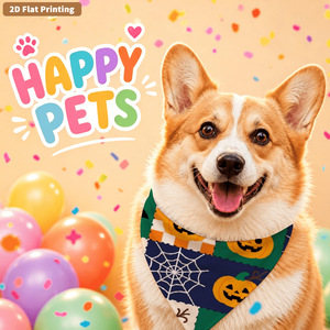 DIY Pet Birthday Cake Mold - Bone Shape